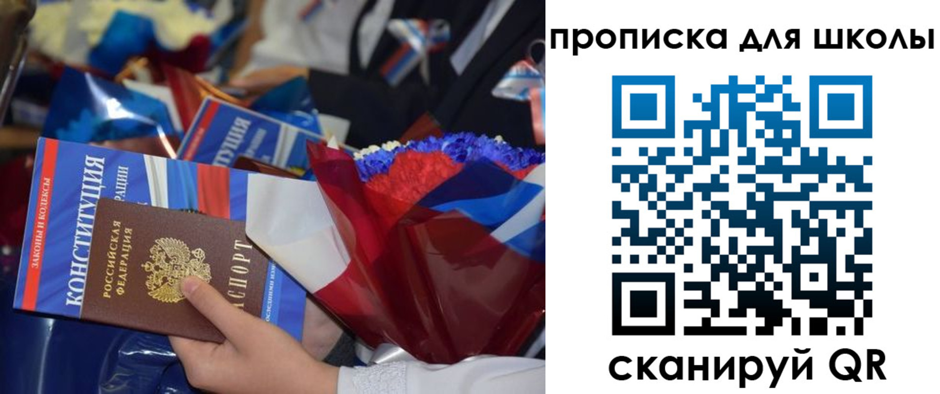 прописка гарантия в Палласовке